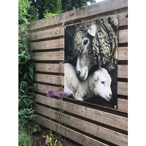 Tuinposter / doek Schaap 90 cm 