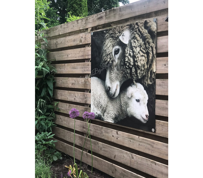 Tuinposter / doek Schaap 90 cm