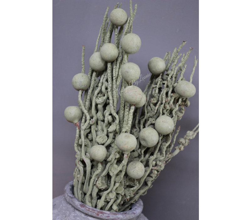 Tak coco finger + balls Moss green