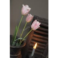 Zijden Franse tulp Pink 62 cm