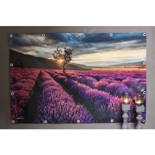 Tuinposter Zuid-Frans Lavendel veld 120 cm 