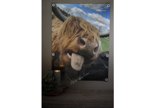 Tuinposter Hooglander tong 80 cm Tuinposter Hooglander tong 80 cm