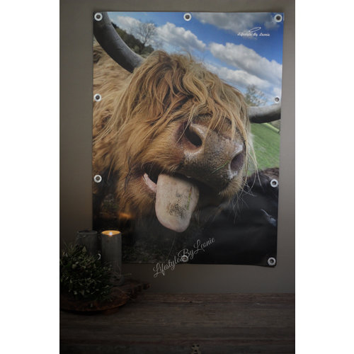 Tuinposter Hooglander tong 80 cm 