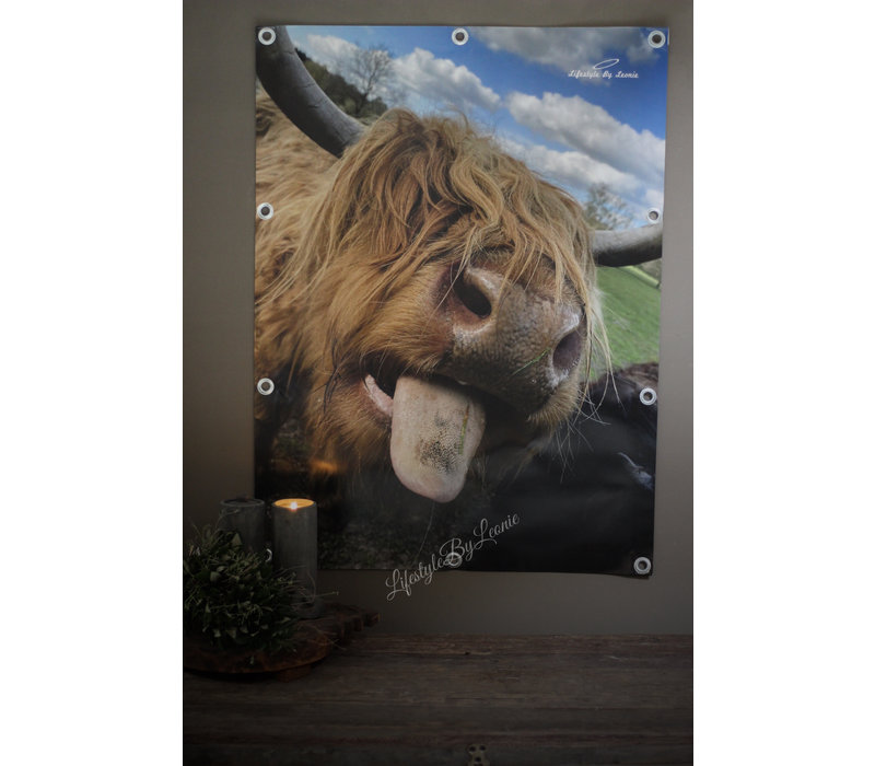 Tuinposter Hooglander tong 80 cm