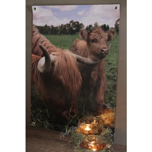 Tuinposter Hooglander met kalfje 80 cm  Tuinposter Hooglander met kalfje 80 cm
