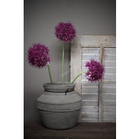 Namaak Allium bloeiend paars 75 cm