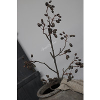 Namaak tak Acorn black 90 cm