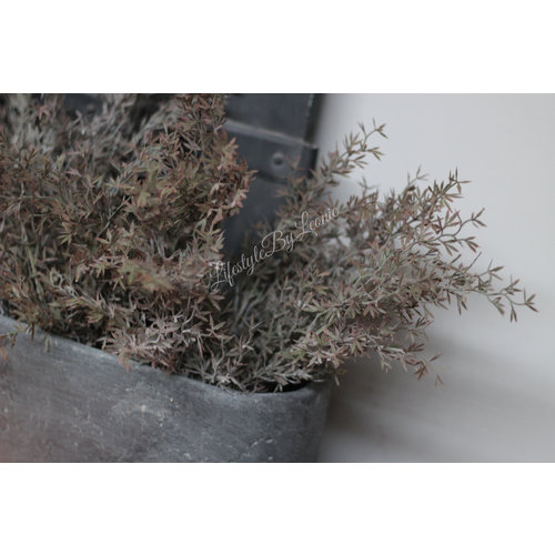 Brynxz namaak tak Juniperus/sedum grey 