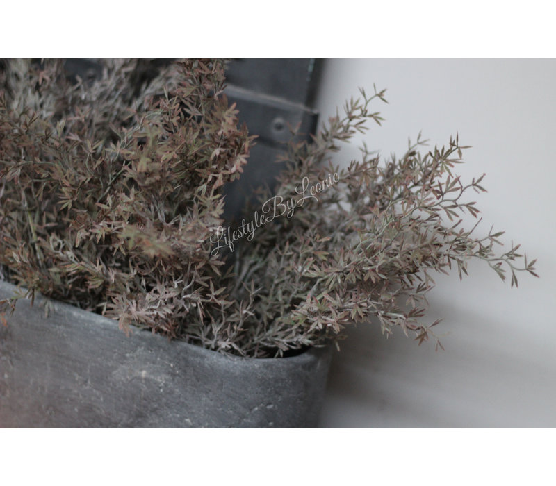 Brynxz namaak tak Juniperus/sedum grey