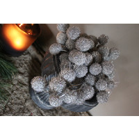 Plataanbollen glitter Silver