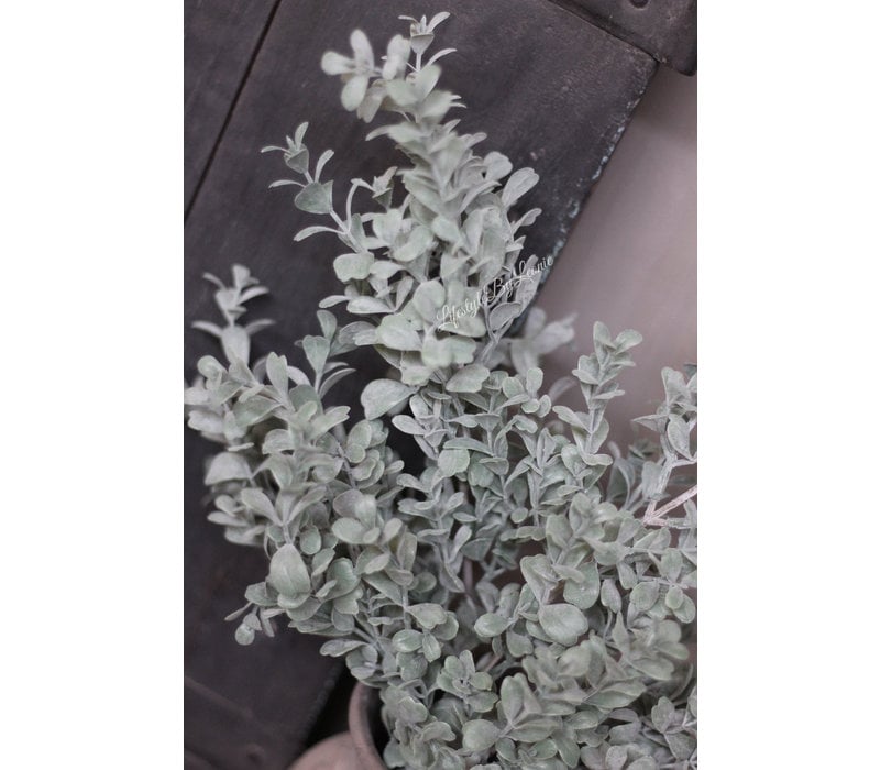 Brynxz Lonicera bos grey 62 cm