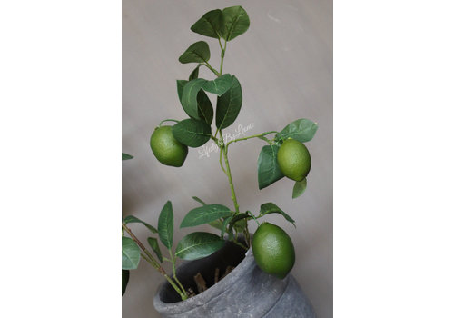 Namaak tak Lemons green 74 cm