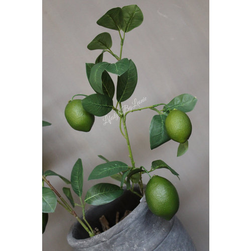 Namaak tak Lemons green 74 cm 