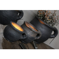 Brynxz candlecup ear Ore 11 cm