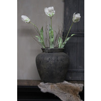 Grote namaak parrot tulp White 83 cm