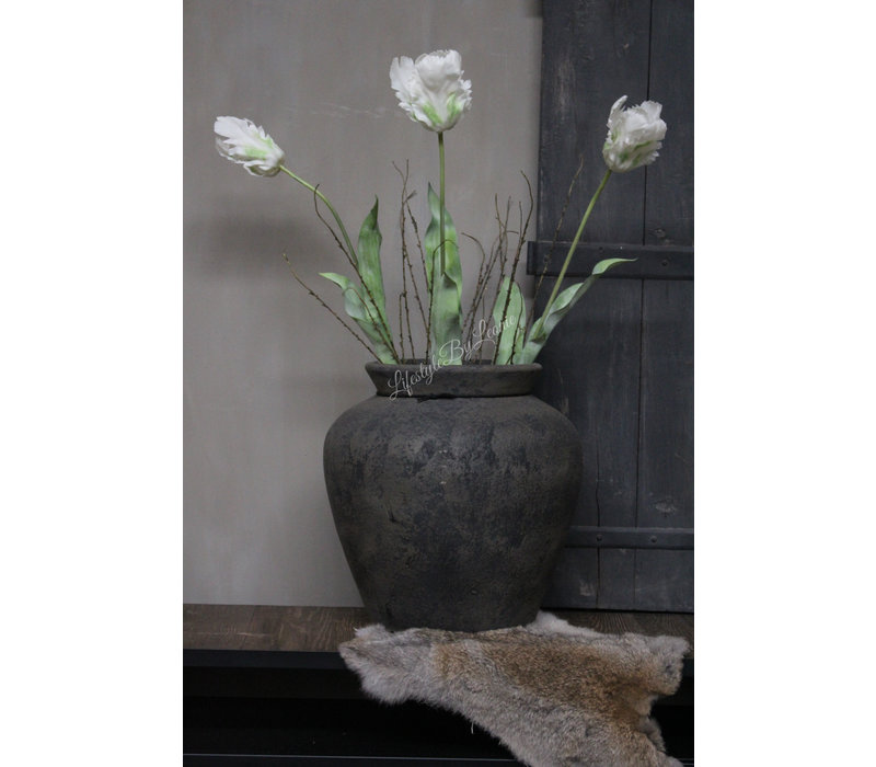 Grote namaak parrot tulp White 83 cm