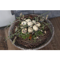 Krans nest met kwarteleitjes en wilde Asparagus 21 cm