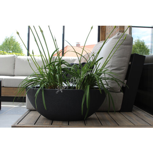 Plantenbak Ovaal black 52 x 23 x 20 cm  Plantenbak Ovaal black 52 x 23 x 20 cm