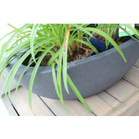 Plantenbak Ovaal black 52 x 23 x 20 cm