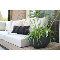 Kussen met franjes linnenlook Black 30 x 50 cm