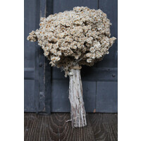 PTMD gedroogd boeket twijg Edelweiss 36 cm