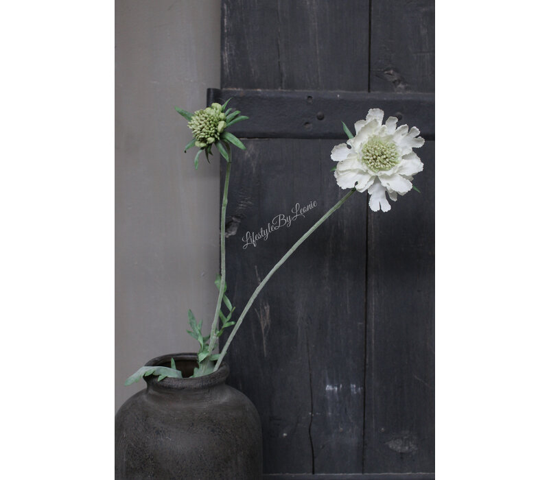 Zijden Scabiosa tak 2-bloemig white green 71 cm