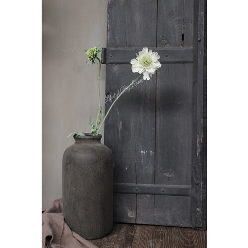 Zijden Scabiosa tak 2-bloemig white green 71 cm 