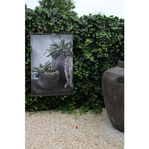 Tuinposter op houten latjes Olive 80 x 60 cm 