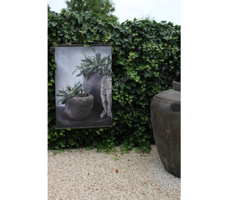 Tuinposter op houten latjes Olive 80 x 60 cm