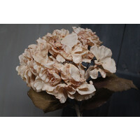 Brynxz zijden hortensia Soft beige 45 cm