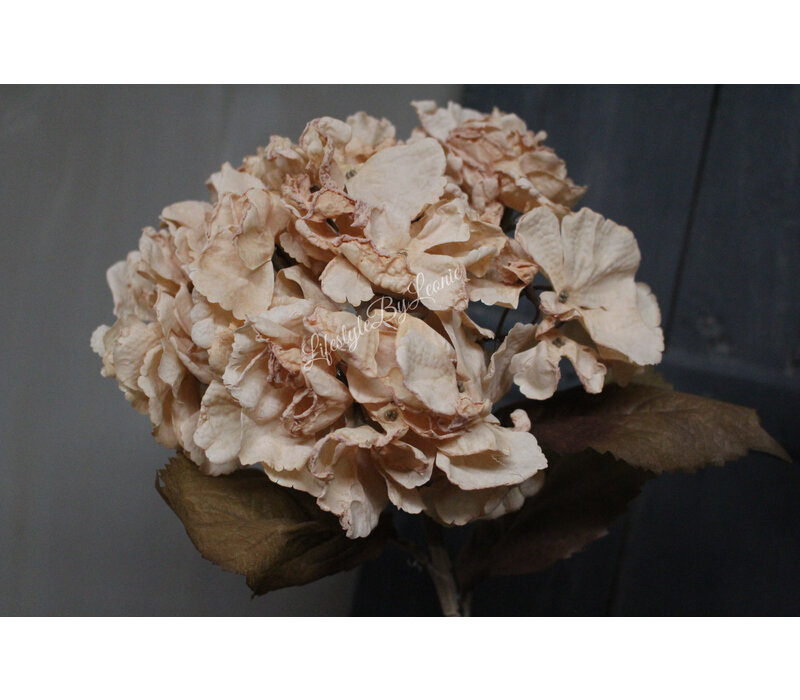Brynxz zijden hortensia Soft beige 45 cm