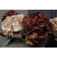 Brynxz zijden Hortensia brown/red 80 cm