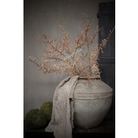 Sobere Corokia tak beige 104 cm