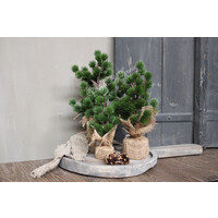 Namaak Cedar tree Green 30 cm