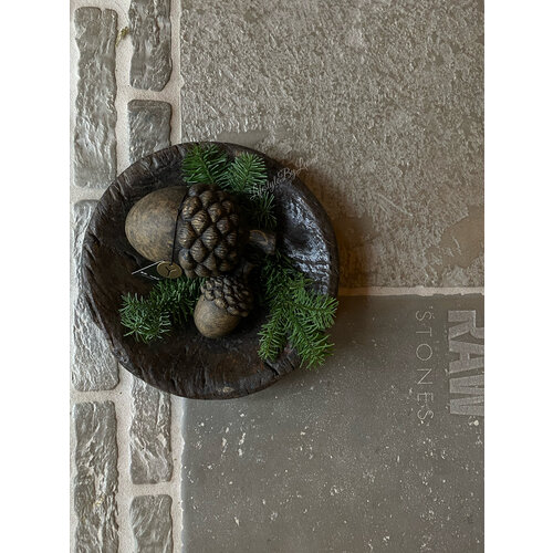 Brynxz set Acorns Allure Brown 15 cm 