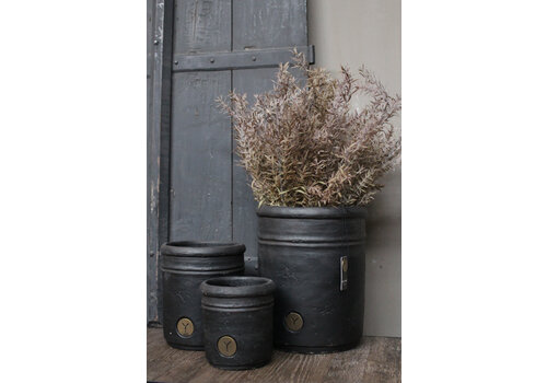 Brynxz Brynxz bos Juniperus Brons 70 cm