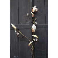 Zijden Magnolia tak white 88 cm