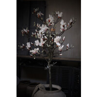Zijden Magnolia boom in pot White S