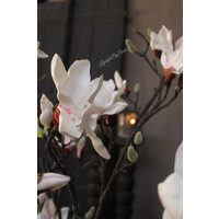 Zijden Magnolia boom in pot White 150 cm