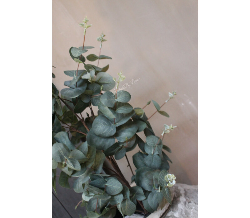 Namaak Eucalyptus in pot 65 cm