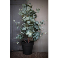 Namaak Eucalyptus in pot 65 cm
