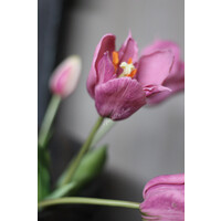 Namaak boeket Tulpen soft purple 48 cm