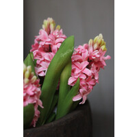 Namaak bloeiende Hyacinth light pink 35 cm