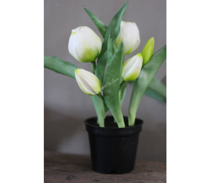 Namaak real touch tulpen in potje White 22 cm