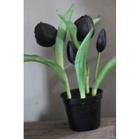 Namaak real touch tulpen in potje Black 22 cm