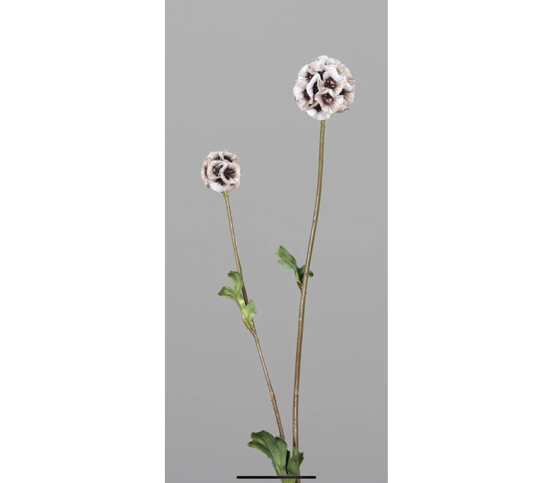 Brynxz tak Scabiosa Cream 63 cm