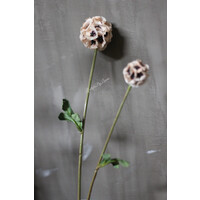 Brynxz tak Scabiosa Cream 63 cm