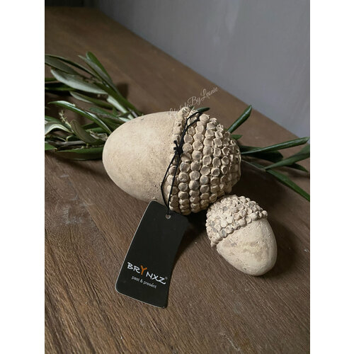 Brynxz setje eikeltjes beige 10 cm 