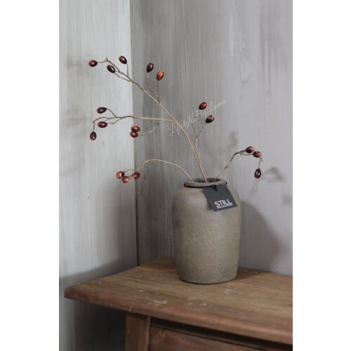 Brynxz rozenbottel tak Brown 80 cm 