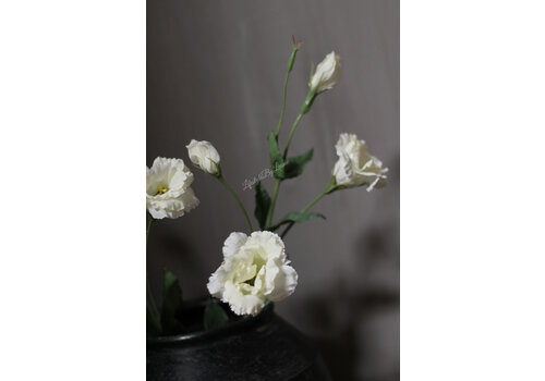 Zijden Lisianthus tak white 70 cm